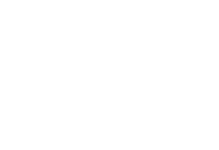 Fenice Nova